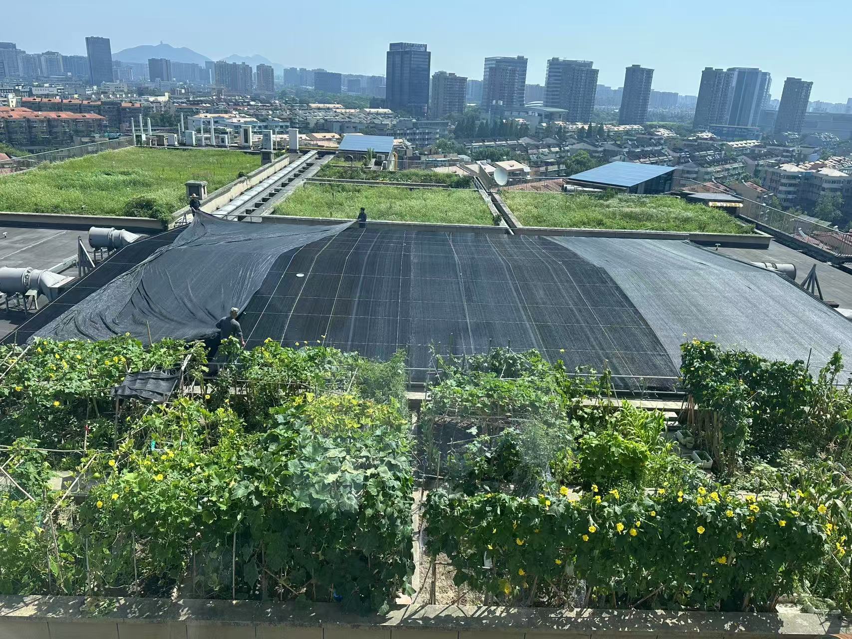 水晶城巧施”遮阳术“，为节能降耗注入清凉动力